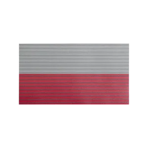 Direct Action Polish large patch flag NO IR